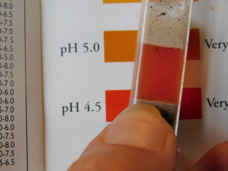 General soil pH in tree field